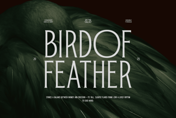 Bird of Feather: A Premium Serif Font for Handmade Creators