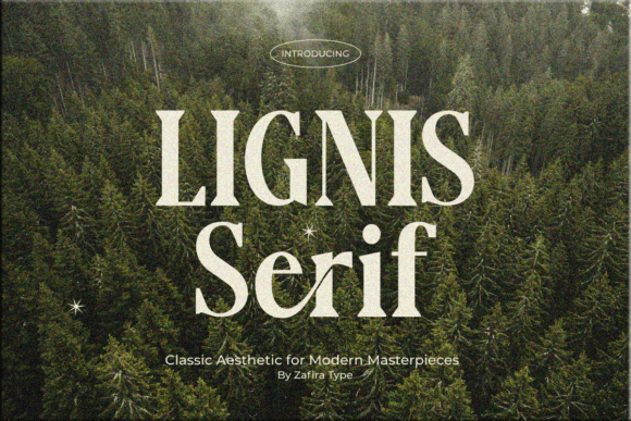 Lignis: The Serif Typeface That Builds Trust for Small Businesses
