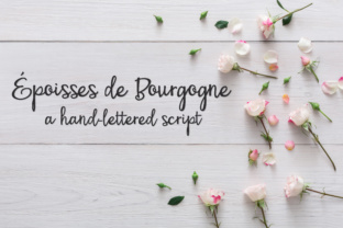 PN Époisses De Bourgogne: The Bouncy Typeface for Campaigns That Pop